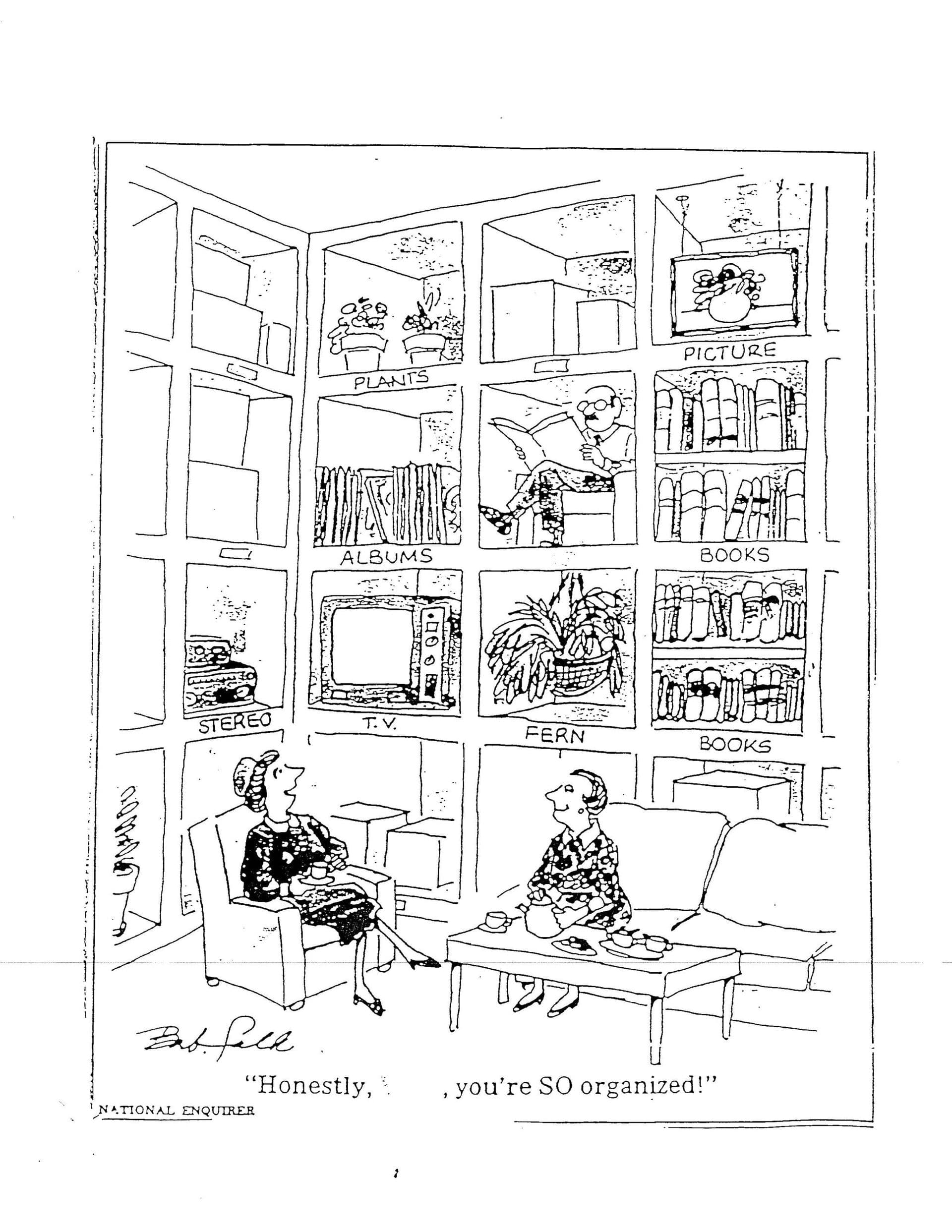 Cartoon of two people beside a neatly organized bookcase